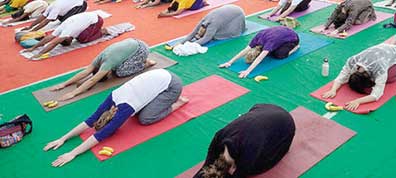 Yoga Bisa Mengatasi Nyeri Punggung